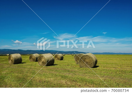 在地面上滾動的草卷(北海道東神樂町) 在地面上滾動的草卷(北海道東神樂町) 70080734