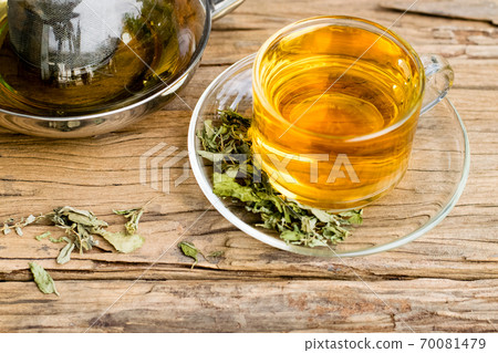 Stevia tea in a glass cup 70081479
