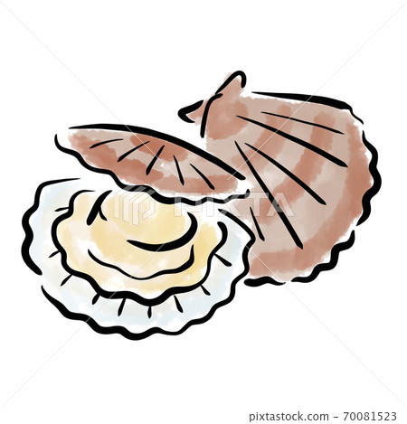 扇貝扇貝水彩筆手繪素材 70081523