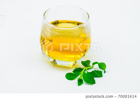 Stevia tea on white background Stevia tea on white background 70081614