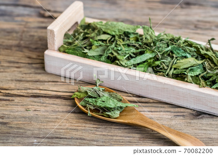 Dry stevia leaf Dry stevia leaf 70082200