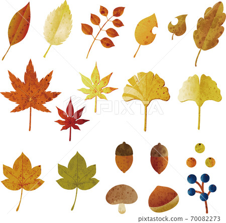 Autumn material watercolor illustration set 70082273