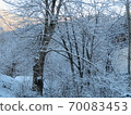 冰雪覆蓋的森林 70083453