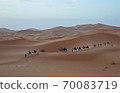 Sahara Desert Morning 70083719