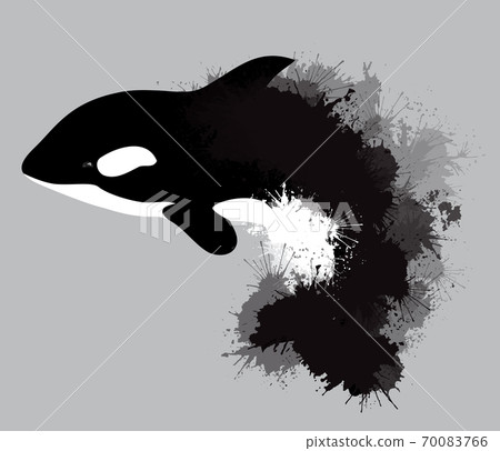 Illustration of grampus with watercolor splashes. 70083766