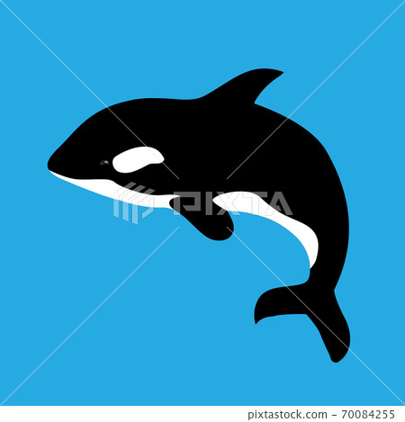 Flat ilustration with grampus on a blue background. 70084255