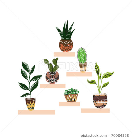 Illustration of cartoon home flowers in pots with decorations on shelves. Objects separate from the background. 70084338