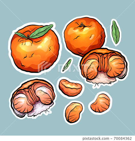 Set of color cartoon stickers of tangerine. The object is separate from the background. Set of color cartoon stickers of tangerine. The object is separate from the background. 70084362