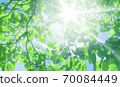 Sunny sky and sunbeams 70084449