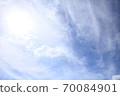 Foliage plant  70084901