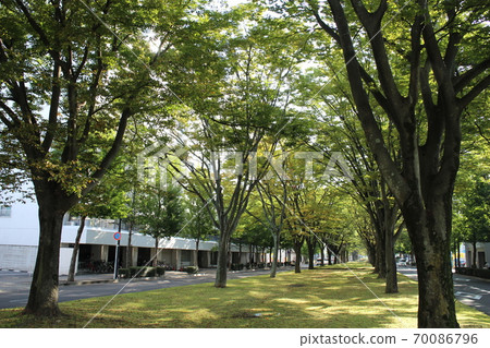 仙台若林區批發市場大通附近 70086796