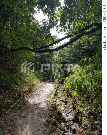 Mountain, Circumference, Trail, Rocky Mountain, Tree Mountain, Circumference, Trail, Rocky Mountain, Tree 70088101