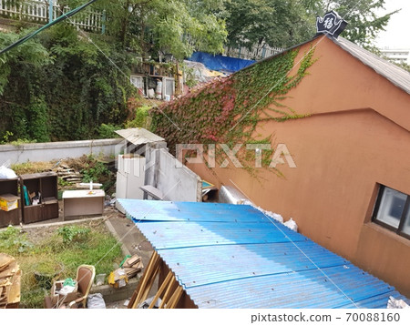 Mountain, Circumference, Trail, Rocky Mountain, Tree 70088160