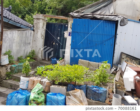 Mountain, Circumference, Trail, Rocky Mountain, Tree 70088161