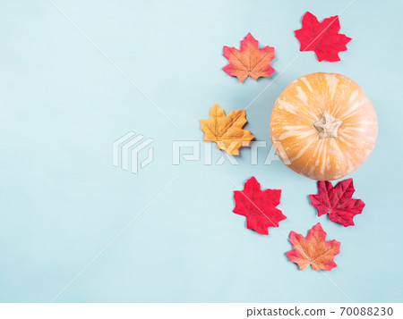 Autumn leaves and pumpkin on blue Autumn leaves and pumpkin on blue 70088230