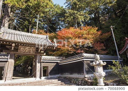 大千寺的秋葉 大千寺的秋葉 70088900