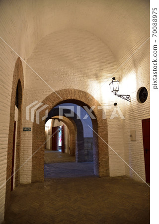 Maestransa養牛場，塞維利亞，西班牙 70088975