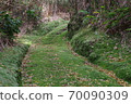Moss road to Shunkan-do in Iojima, Kagoshima Prefecture 70090309