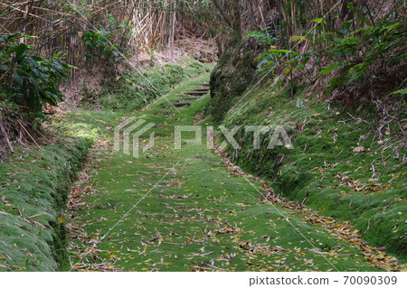 Moss road to Shunkan-do in Iojima, Kagoshima Prefecture Moss road to Shunkan-do in Iojima, Kagoshima Prefecture 70090309