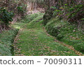 Moss road to Shunkan-do in Iojima, Kagoshima Prefecture 70090311