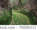 Moss road to Shunkan-do in Iojima, Kagoshima Prefecture 70090312