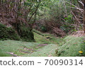 Moss road to Shunkan-do in Iojima, Kagoshima Prefecture 70090314