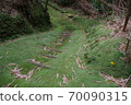 Moss road to Shunkan-do in Iojima, Kagoshima Prefecture 70090315