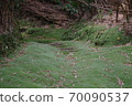 Moss road to Shunkan-do in Iojima, Kagoshima Prefecture 70090537