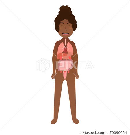 Girl internal organs for science poster for kids, child body anatomy in cartoon vector style Girl internal organs for science poster for kids, child body anatomy in cartoon vector style 70090634