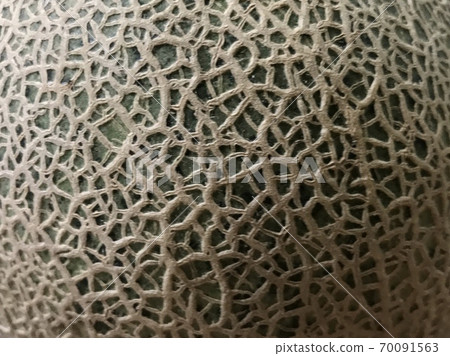 The mesh of Earl's melon (melon) The mesh of Earl's melon (melon) 70091563