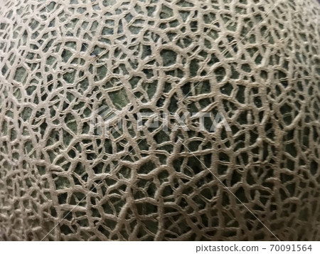 Earl's melon (melon) skin pattern 70091564