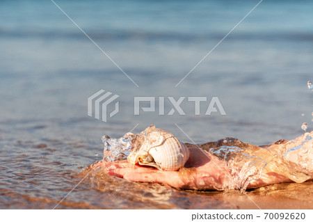 Hand is grabing a sea shell from crystal clear water at the golden sandy Beach in Antalya. Hand is grabing a sea shell from crystal clear water at the golden sandy Beach in Antalya. 70092620