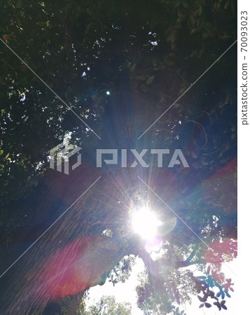 永田神社的Ku之光 70093023