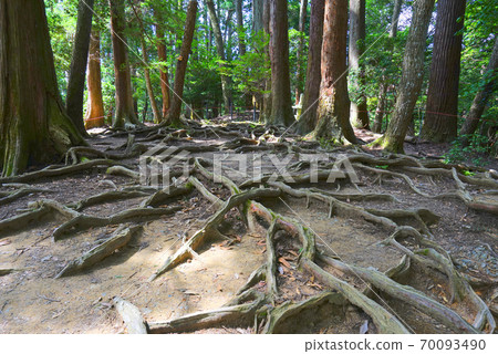 Kinone Michi, Kurama Kaido, Kyoto City, Kyoto Prefecture, Japan 70093490