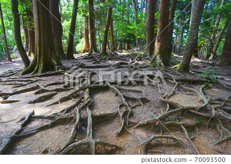 Kinone Michi, Kurama Kaido, Kyoto City, Kyoto Prefecture, Japan 70093500