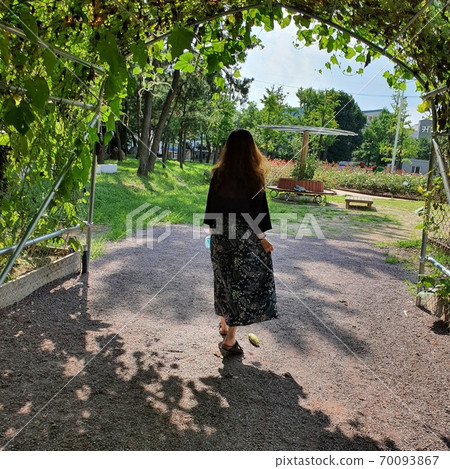 自然 自然 70093867