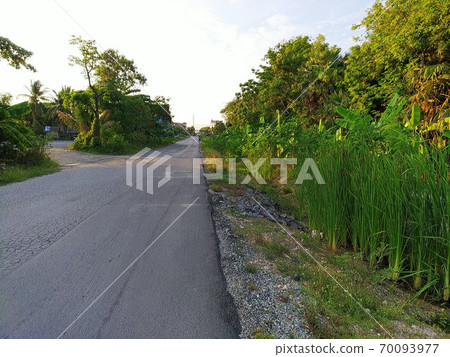 熱帶郊區因裂縫和窪地而變得粗糙的鋪砌道路左右兩側雜草叢生的筆直道路。 70093977