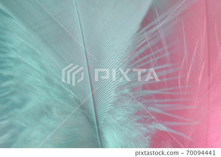 Exotic texture feathers background close up. Pink  and aquamarine feathers pattern for your design. Macro photography view. 70094441