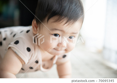 Baby hi-hi on the windowsill Baby hi-hi on the windowsill 70095345