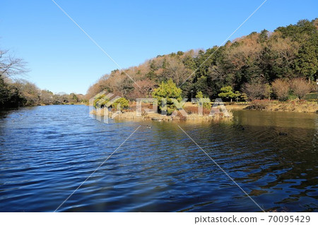 Chiba Prefecture Junnaike Ryokuchi winter landscape 70095429
