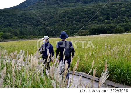 "Tadehara Marsh" spreading in the foothills of the Kuju mountain range, a popular hiking course with a refreshing breeze "Tadehara Marsh" spreading in the foothills of the Kuju mountain range, a popular hiking course with a refreshing breeze 70095688