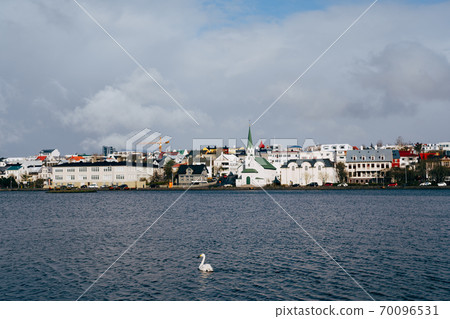 A white swan swims in the water on Lake Tjornin in Reykjavik, Iceland. A white swan swims in the water on Lake Tjornin in Reykjavik, Iceland. 70096531