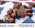 Lots of round acorns 70096601