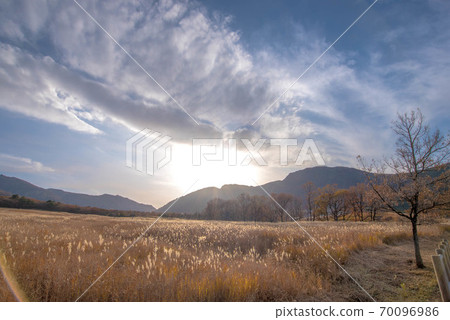 Autumn of Bo Gatsuru Autumn of Bo Gatsuru 70096986