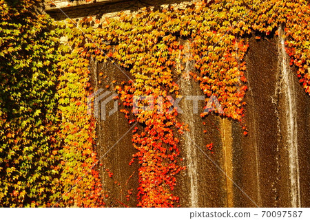 Color Autumn leaves Autumn running water park Fountain (registered in September 2020) Maximum size: L Color Autumn leaves Autumn running water park Fountain (registered in September 2020) Maximum size: L 70097587