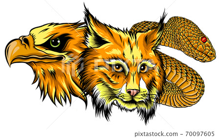 This is an Eagle lynx snake Heads Mascot This is an Eagle lynx snake Heads Mascot 70097605