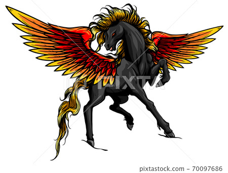 Pegasus. An illustration of the mythological horse Pegasus rearing up on its hind legs. vector Pegasus. An illustration of the mythological horse Pegasus rearing up on its hind legs. vector 70097686