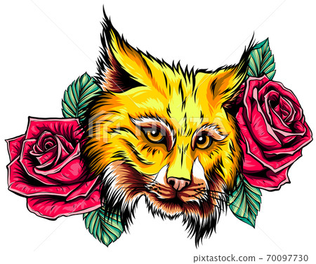 Vector illustration of angry bobcat face profile. Vector illustration of angry bobcat face profile. 70097730