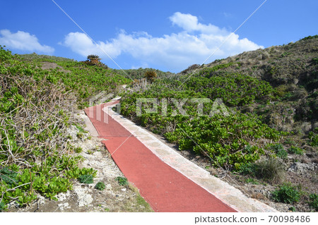 德之島/犬田府海角長廊 70098486