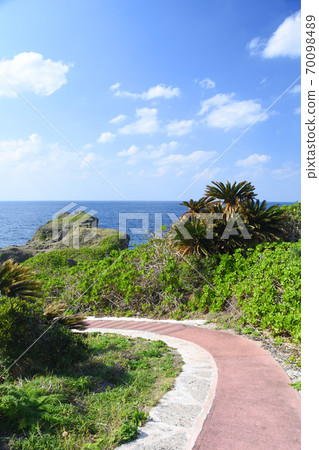 德之島/犬田府海角長廊 70098489
